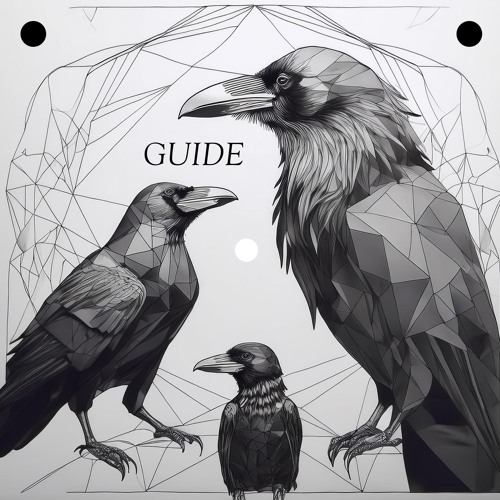 Guide