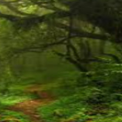 junglezz in my head by exectors ebat