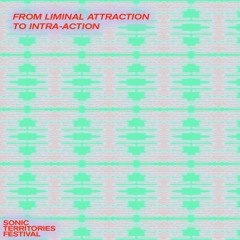 Sonic Territories Festival 2023 - Artist Preview