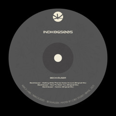 PREMIERE: Beckhäuser - Walking While There’s Noise Around (Original Mix)[INDKOGS005]