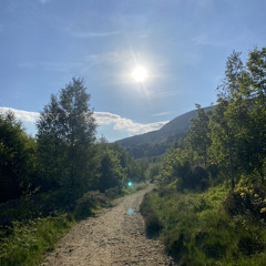 sick & wrong (longdendale version)