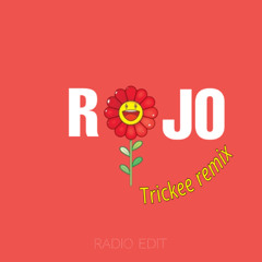 J Balvin - Rojo (Trickee remix Radio edit)