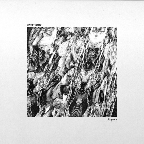 The Botched Noise Makers Committee - Rupture EP [SFREC007]