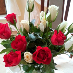 John Ryan Haule, Ph.D. , "The Divine Madness of Romantic Love" (26th Annual Jungian Conference)