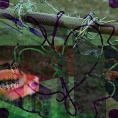 im not high youre high and get off my stage i have a song to shing i mean shing i mean sling fuck