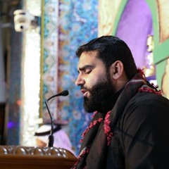 زيارة أمين الله الإمام علي (ع) | القارئ فاضل حمادي