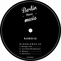 PREMIERE: Rawdio - Certified Mindblower [Berlin House Music]