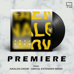 PREMIERE: Haen - Analog Snow (Qbical Extended Remix) [SOMMERSVILLE RECORDS]