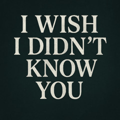 I WISH I DIDNT KNOW YOU