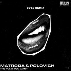 Matroda X POLOVICH - The Funk You Want [DVZE Remix]