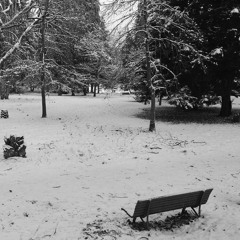 Soma Ether Jan 2021 Take 1