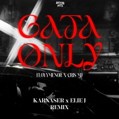 FloyyMenor - Gata Only (KARNASER & Elie J Remix)