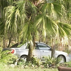 Lando84: Natural selection   🔥