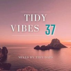 Tidy Vibes vol. 37