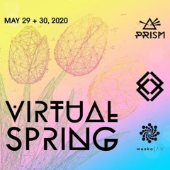 Aryn Benoit - Virtual Spring 2020