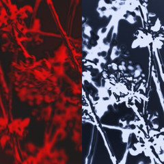 [2] DATA DEFRAGMENTATION