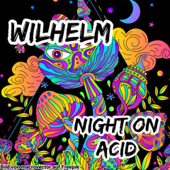 Wilhelm - Night On Acid