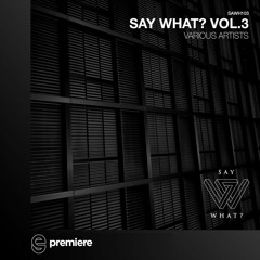 Premiere: Soko & Sev - Internal Shift (Original Mix) - Say What Records