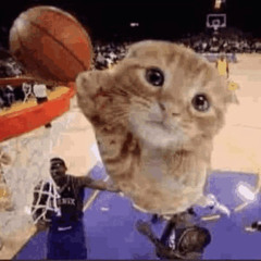 Help me, ERINNNNNN!! [Sped Up!]