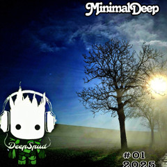 DeepMinimal #01 - 2025