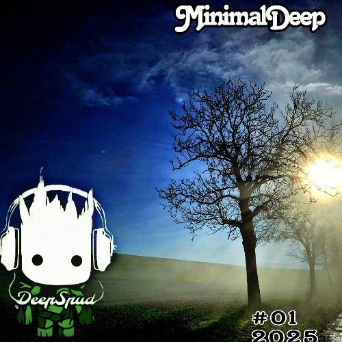 DeepMinimal #01 - 2025