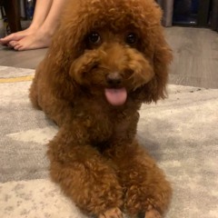 Boo Boo 2021 - ĐN
