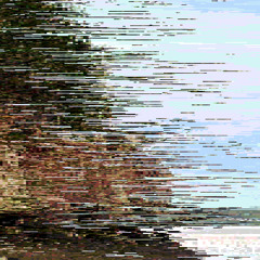 Lateral/Liminal