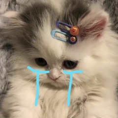 พี่ชอบหนูที่สุดเลย - PONCHET Feat. VARINZ (ver.หนูชอบพี่)| NanaNomkon.(cover)