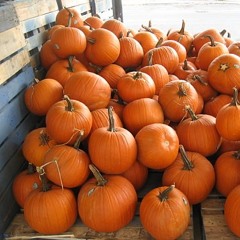 halloween sluts 🎃 (0nlyswagggg)