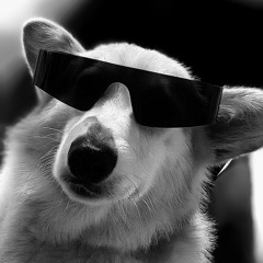GIVE ME CORGI