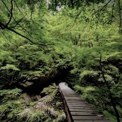 Miyama