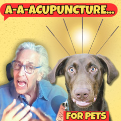 The Pet Show 053125