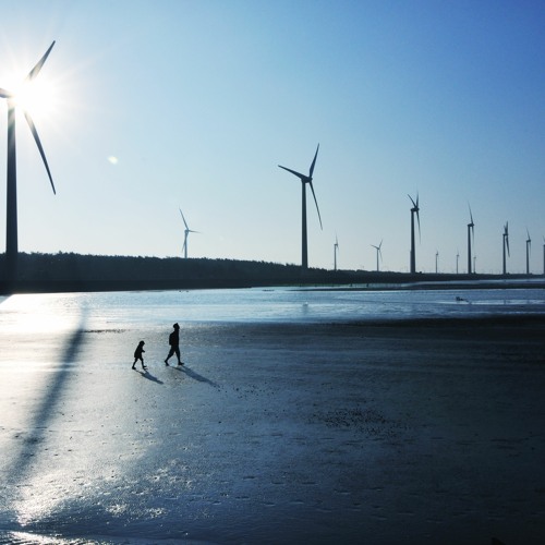 Energy Industry Insights: The transition to a low-carbon future