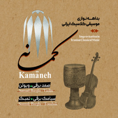 Châhâr Mezrâb (feat. Siamak Barghi) [Bayât Tork]