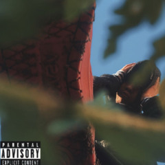 Barnes N nobles Freestyle By Straydawg90 2024.mp3