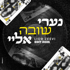 מרגול - נערי שובה אליי (Lior Zeevi Edit 2025)