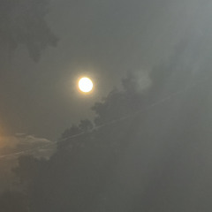 untouched ~ Z’Niyah Chrishea