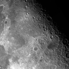 NEED THAT BODY (moonfall v 2)