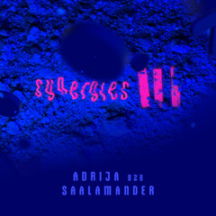 adrija b2b Saalamander closing Synergies III
