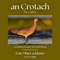 The Curlew