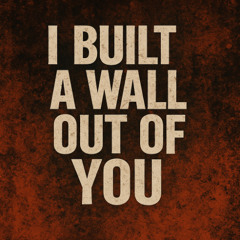 I BUILT A WALL OUT OF YOU