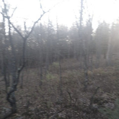 r̷̢͍̼̮͙̼͇͒͑̄̋̐͊͌́̀ẹ̴̳͎̰̤̭͔̱̓̈́̌͜s̷̹̻̯̭̳̫͇̞̒̉͑̀̎̾t̵̻̞̙͉͚͕̏͌l̷̪̣̮̪͇̺̇̔͒̆̕̕e̴͈͍̙͈̭̼͚͔͖͊̄̈́͜s̷͔̜̾̅̄̊̈́̎̕̕͠s̷͙̲̮̞̰͇̤̉̀̎́̉̐̄͝͝ͅ ̷͈̠̹̱̊̏̎͊͛̀d̶̨̧̼͚̘͍͆̄̉͜ŗ̷̖͍̟͚̞͙̜̜̂͆̆̔̈è̷̩͈̇̏́̚͝ȧ̸̡̧̛̮̠̺̇͆̚̚͠m̵͉͎͉̙̟̭̠̏̉̃̿̾̇̃̈́̌̽s̸̫̣̠̩͙̻̠͗̍͆̽́ͅ