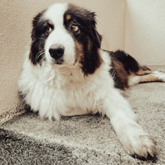 [#385] The Dangerous World