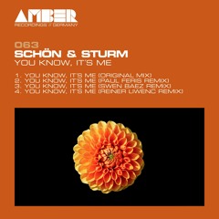 Schön & Sturm - You Know, It´s Me (Paul Feris Remix) Snippet