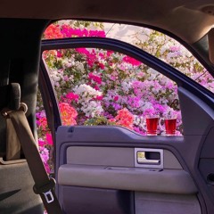 Wellboy - Nozzy Bossy (remix by endorphin)