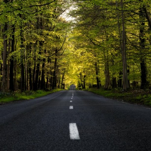 2022,90s,Old best background music FREE DOWNLOAD