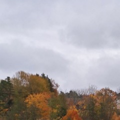 nov1