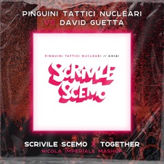 Scrivile Scemo X Together (Nicola Imperiale Mashup)