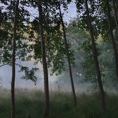 Älvornas dans