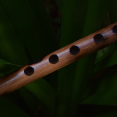 Hard flute Trap Beat | southside type beat